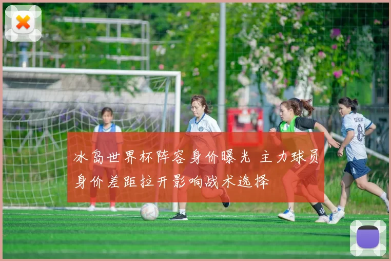 冰岛世界杯阵容身价曝光 主力球员身价差距拉开影响战术选择